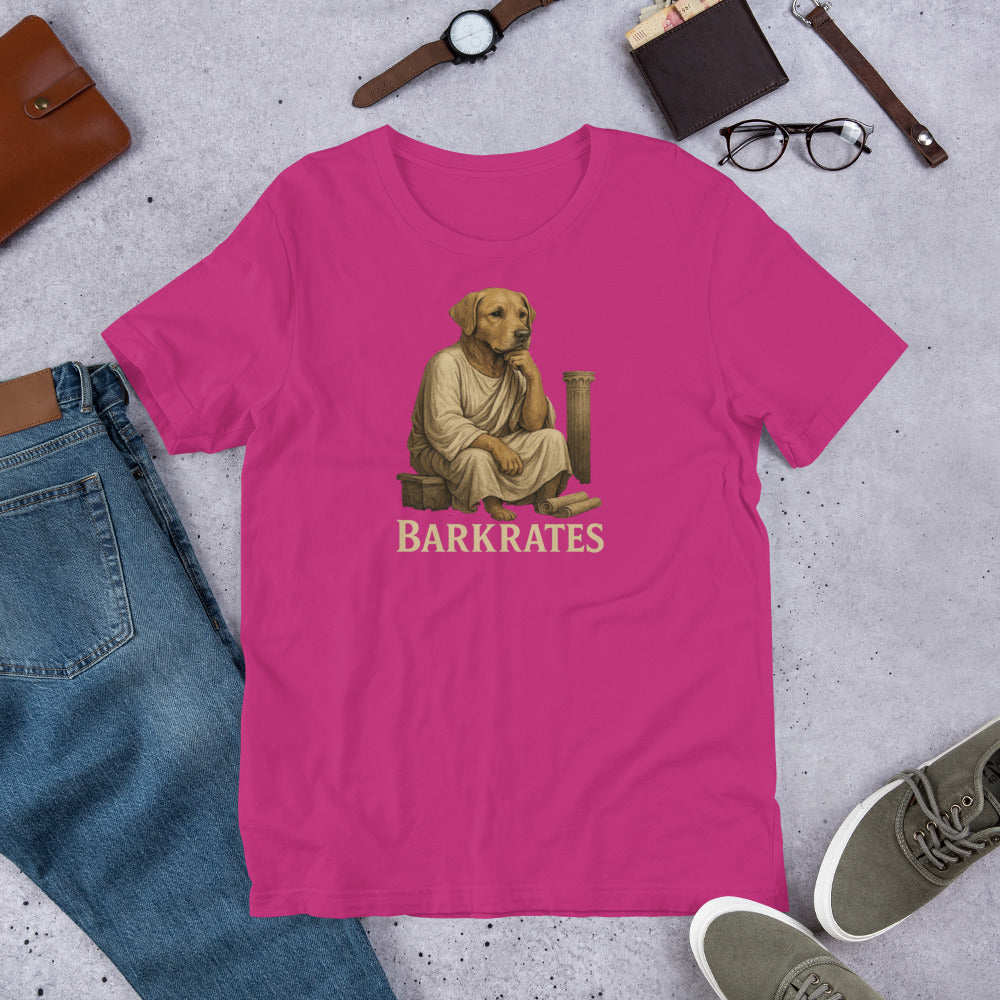 "Barkrates" - Fun Labrador T-Shirt Pink t-shirt with a graphic of a dog dressed as a monk and 'BARKRATES' text, surrounded by casual items on a concrete surface.