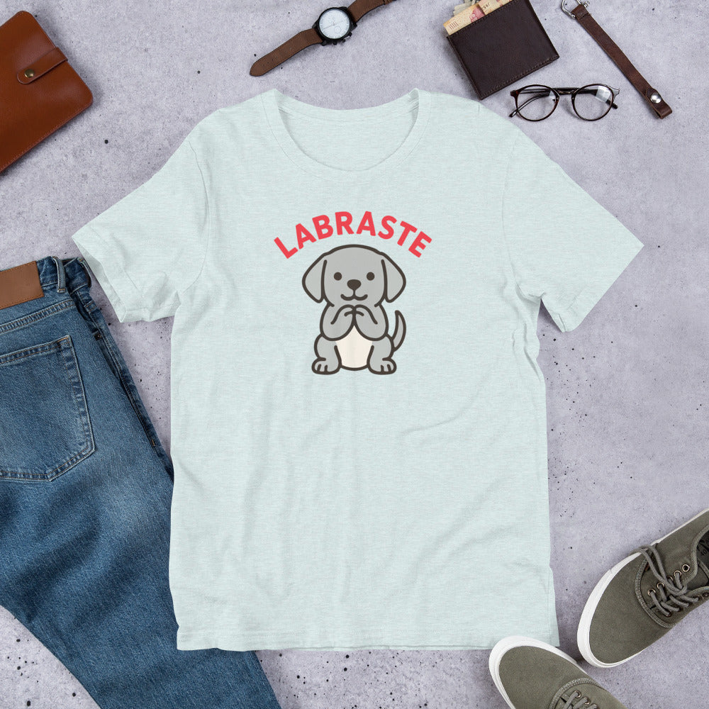 "Labraste Grey Lab" - Fun Labrador T-Shirt Light blue t-shirt with a dog graphic and 'LABRASTE' text, surrounded by jeans, shoes, and accessories on a gray surface.