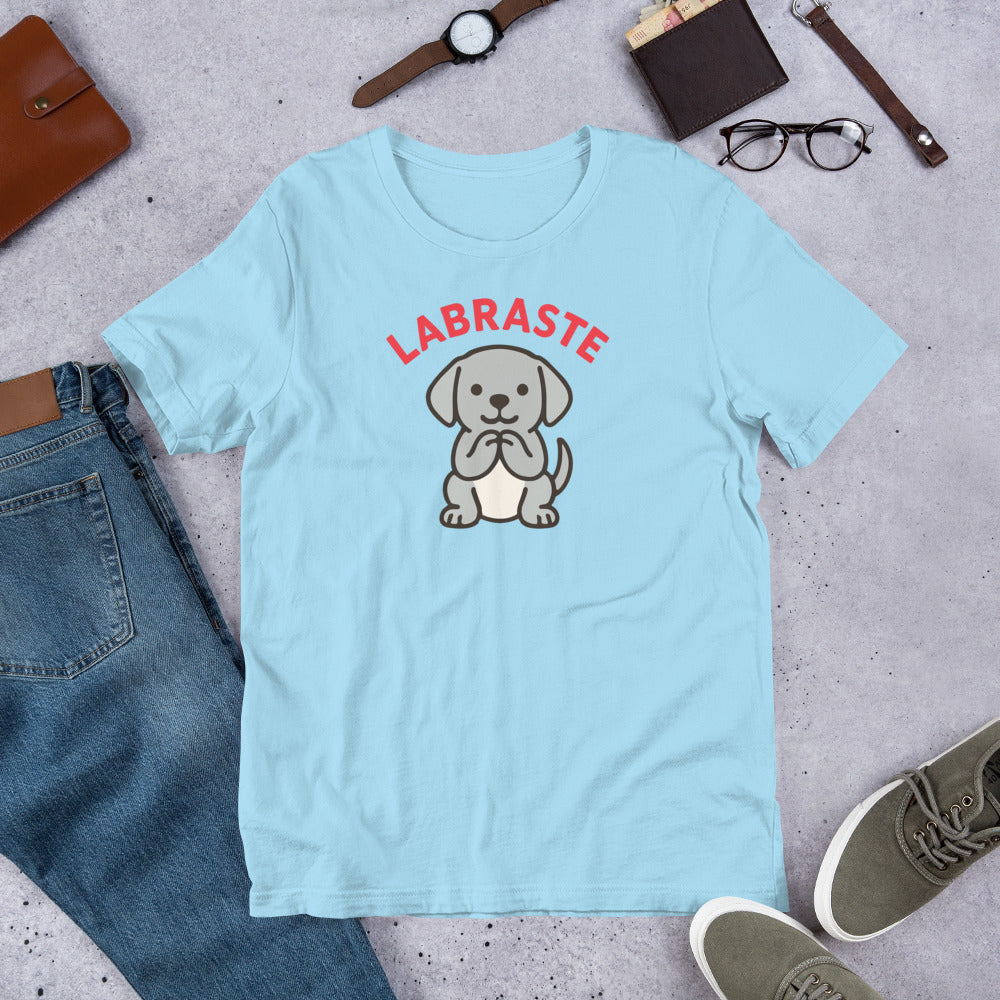 "Labraste Grey Lab" - Fun Labrador T-Shirt Light blue t-shirt with a dog graphic and 'LABRASTE' text, surrounded by jeans, shoes, and accessories on a concrete surface.
