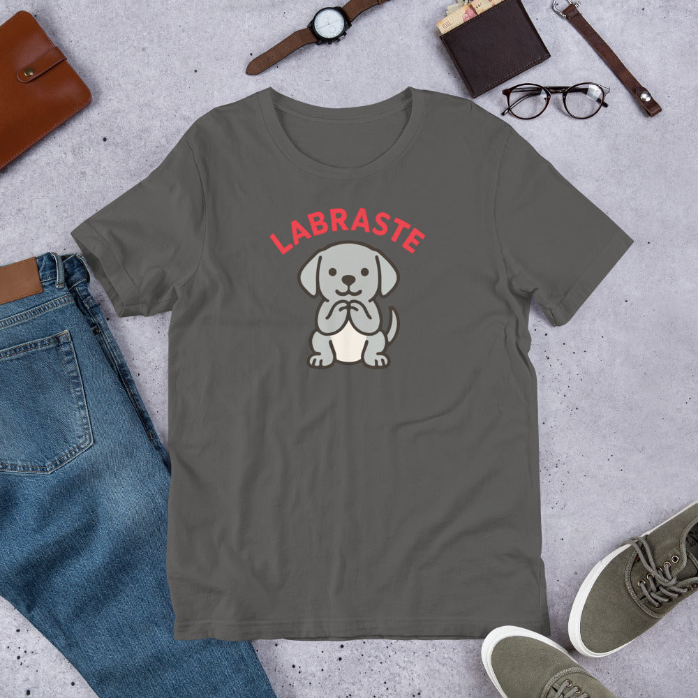 "Labraste Grey Lab" - Fun Labrador  T-Shirt Gray t-shirt with a dog graphic and 'LABRASTE' text on a concrete surface with jeans, shoes, and accessories.