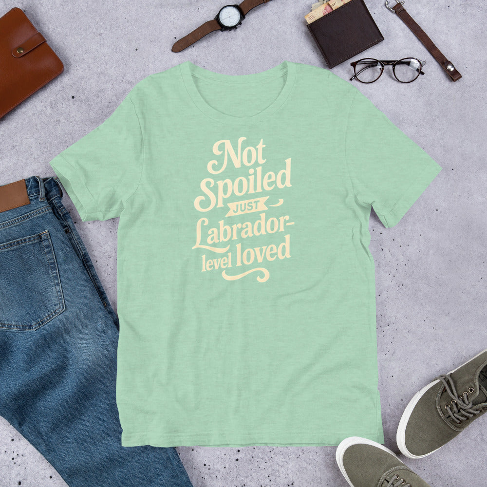 "Not Spoiled Just Labrador Level Loved" - Fun Labrador T-Shirt Mint green t-shirt with text on a gray surface with jeans, shoes, and accessories.
