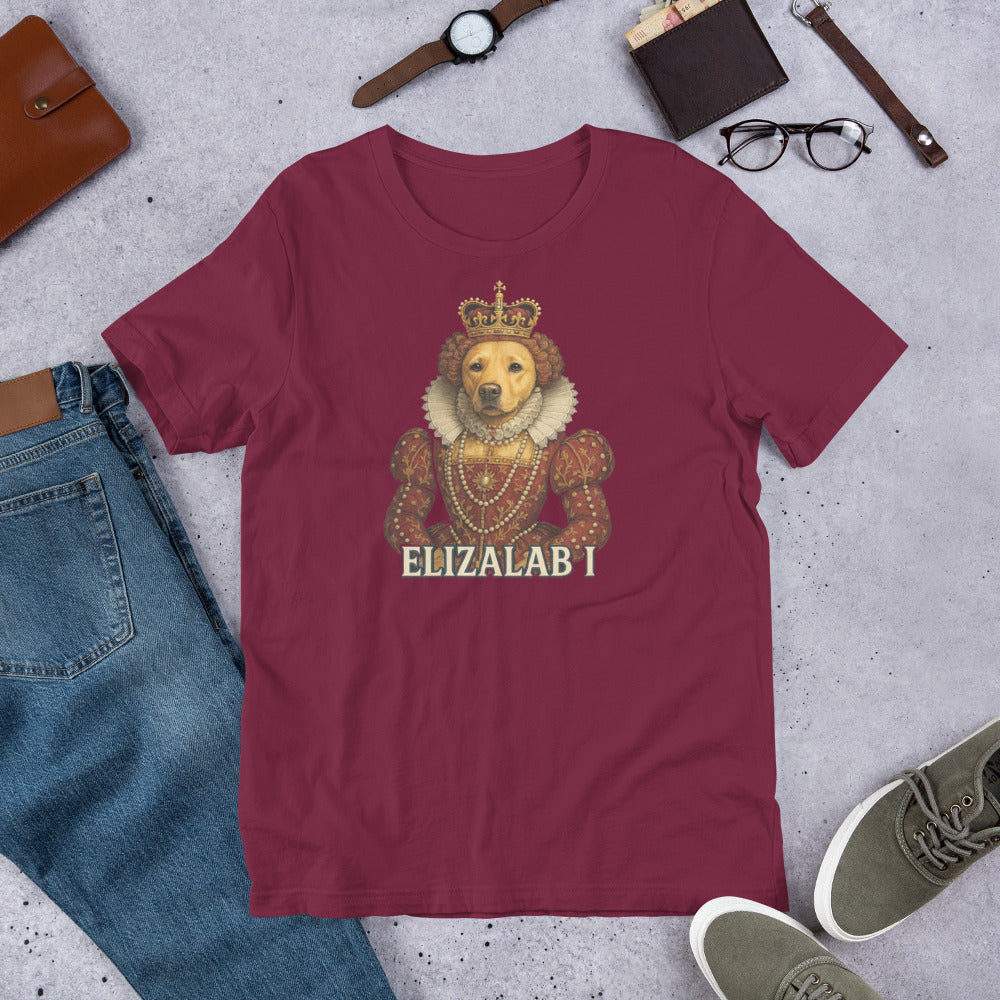 "Elizalab 1 " – Fun Labrador T-Shirt Maroon t-shirt with a lion graphic and 'ELIZALAB I' text, surrounded by jeans, shoes, and accessories on a concrete surface.